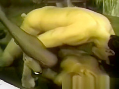 Interracial Vintage Oral