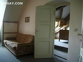 Jan Dvorak Story 3