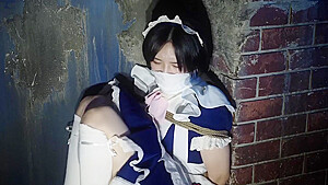 Japanese Maid