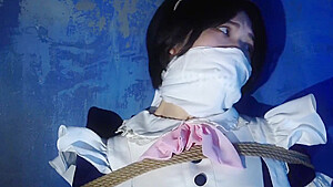 Japanese Maid