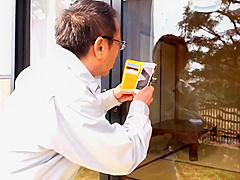Japanese Wicked Cougar Crazy Sex Clip