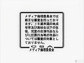 Japanese chubbys Vol,2
