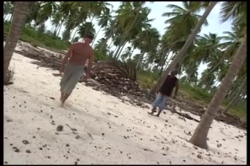 Jessica has a trio on the beach