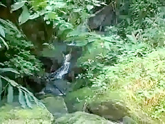 Jungle