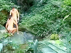 Jungle