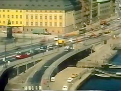Karleksvirveln aka Hon Alskade en Sommar (1977)
