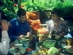 Karleksvirveln aka Hon Alskade en Sommar (1977)