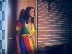 Karleksvirveln aka Hon Alskade en Sommar (1977)