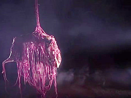Kiss of Rope