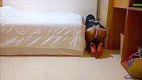 Ladyboy room maid in Pattaya Nina Isabella