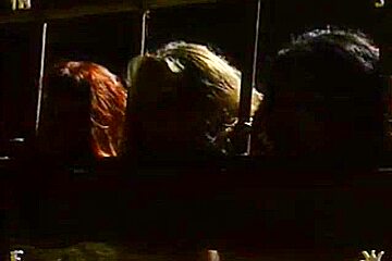 Live Feed - Insex