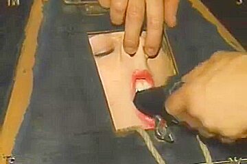 Live Feed - Insex