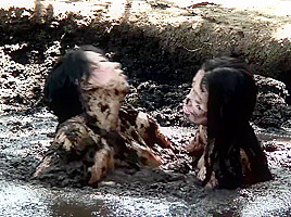 May Daz & Sherly - Sinking Three by Three