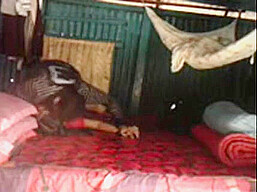 Mms Sex Of Busty Village Bhabhi