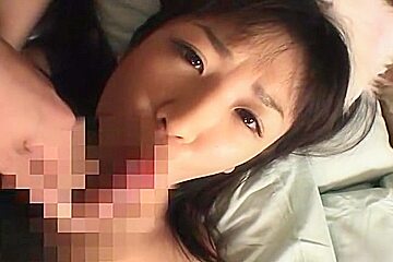 My Pet