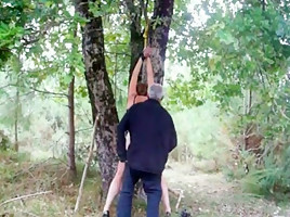 Niveau 4 punie dans les bois