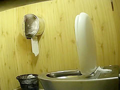Park toilet 1