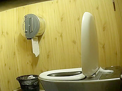 Park toilet 1