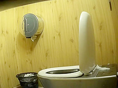 Park toilet 1