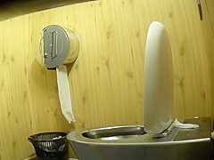 Park toilet 1