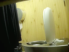 Park toilet 1