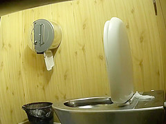 Park toilet 1