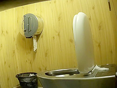 Park toilet 1