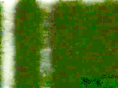 Peepshow Loops 419 70s and 80s - Scene 1