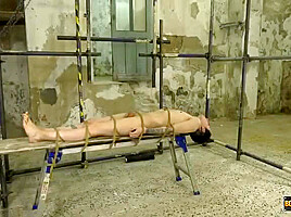 Perfectly Positioned For Face Fucking - Alexis Tivoli & Xavier Sibley