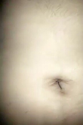 Playing With Indian Step sister Pussy And Big Ass