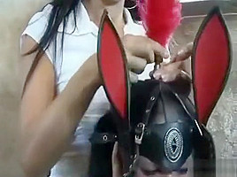 Ponygirl Puppet