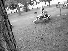 Pussy Play in the Public Park