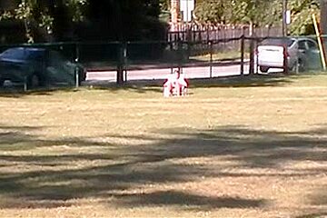 Relaxing in the park (Crotch Shots)