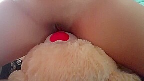 Riding teddy's face