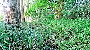 Rugby Kit England 02 Strip In Woods Hiking Naked Outside