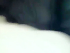SS 0002