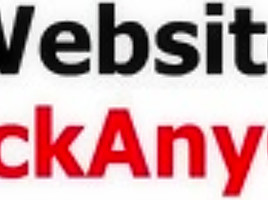 Sasha Yamagucci Fucks On A Webcam Show