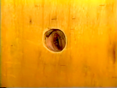 Shay Thomas - glory hole