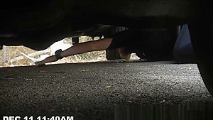 Skinny D is into banging perverted milf cops hard