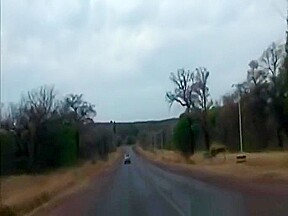 Slutty African Slave Giving Head In Car To White Cock