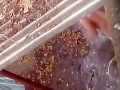 Spying on a topless girl showering outdoors