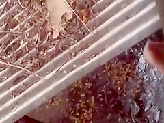Spying on a topless girl showering outdoors