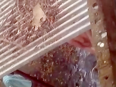 Spying on a topless girl showering outdoors