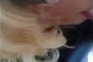 Stevana West Blowjob