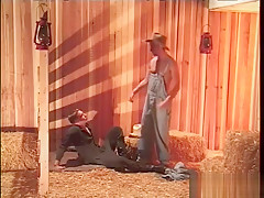 Studs Find A Barn And fuck - Pacific Sun Entertainment