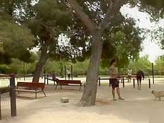 Submissive Euro sluts public disgraced