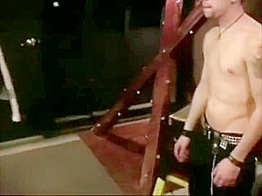Suspended and Tickled