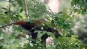 TARZAN STORY SEX 3