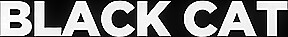 Tessa fowler: black cat
