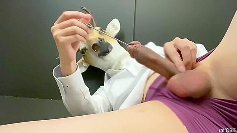 The Deer Slave Employee Was Instructed To Cum While Blaming The Urethra And Balls In The Office